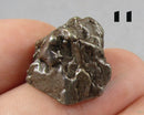 You Choose!  Campo Del Cielo Meteorite