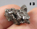 You Choose!  Campo Del Cielo Meteorite