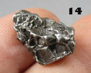 You Choose!  Campo Del Cielo Meteorite