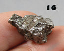 You Choose!  Campo Del Cielo Meteorite