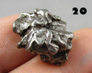 You Choose!  Campo Del Cielo Meteorite