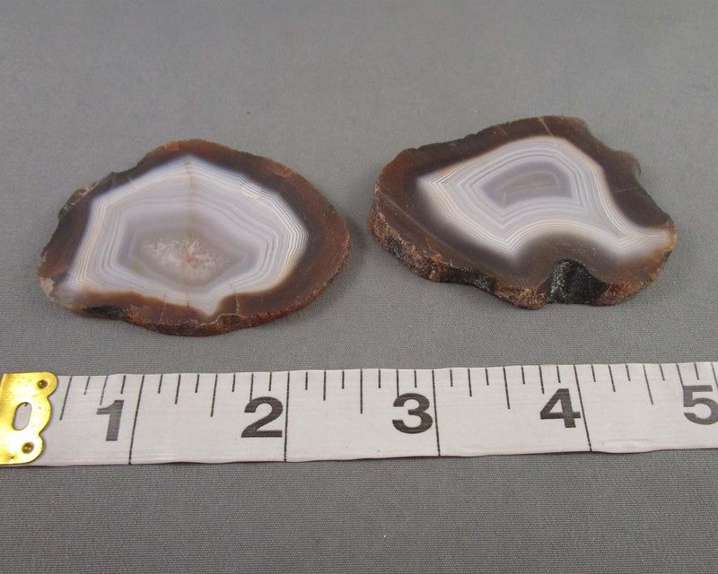 Natural Agate Slice 1pc Z007