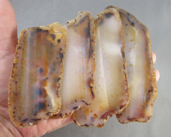 Natural Agate Slice 1pc Z010