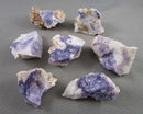 You Choose! Purple Opal (Morado Opal)