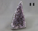 You Choose! Amethyst Stand Up Crystal Cluster 1pc