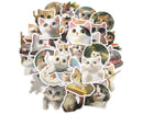 Cute Cats Sticker Pack - Waterproof PVC Stickers 50pc J285