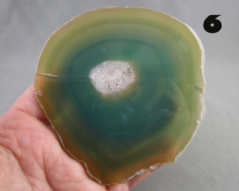 You Choose! Large Agate Stone Slice 1pc