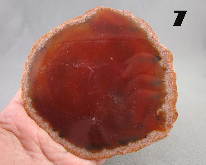 You Choose! Large Agate Stone Slice 1pc