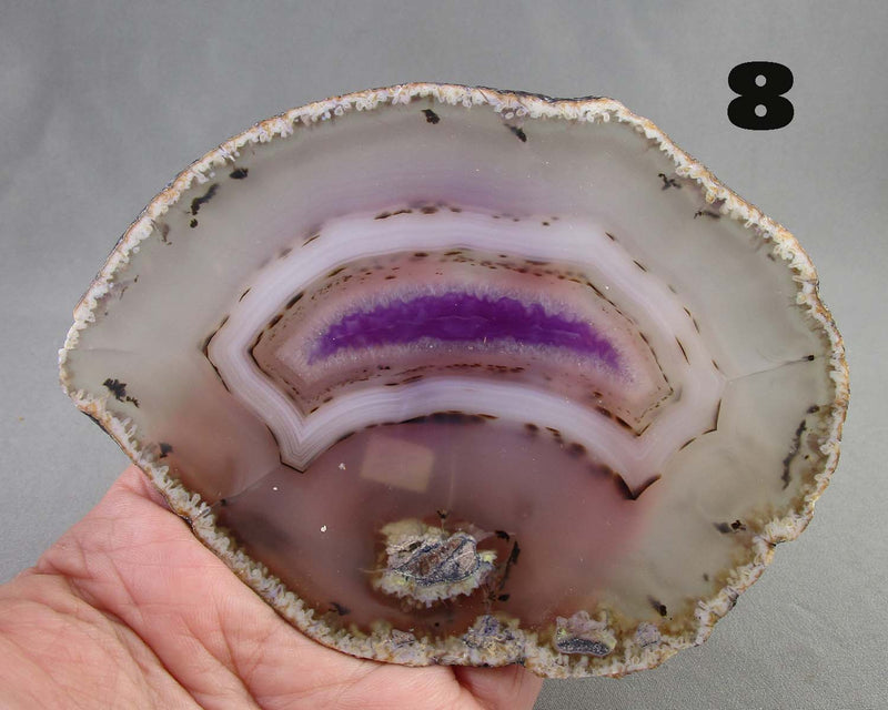 You Choose! Large Agate Stone Slice 1pc