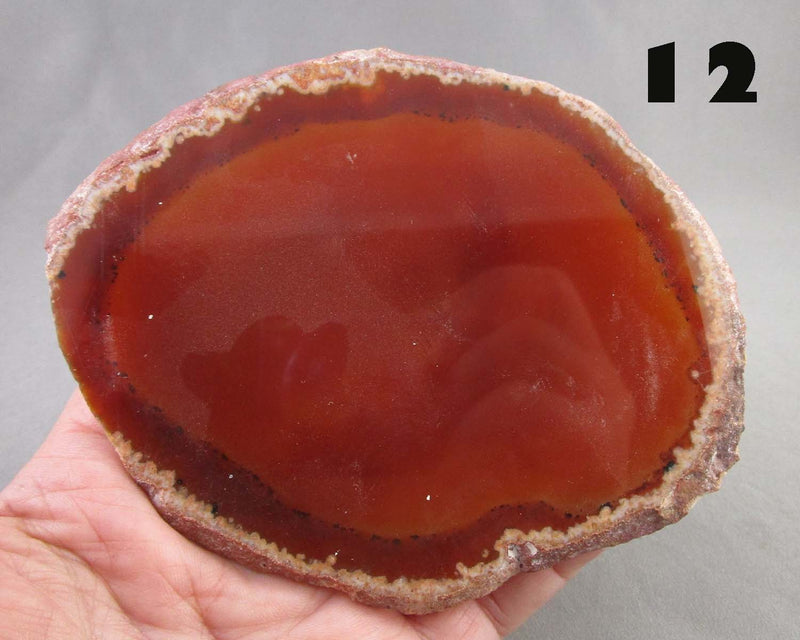 You Choose! Large Agate Stone Slice 1pc