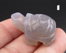 You Choose!  Gemstone Turtle