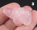 You Choose!  Gemstone Turtle