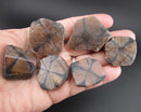 You Choose!  Chiastolite Polished Slice