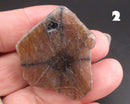 You Choose!  Chiastolite Polished Slice