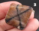 You Choose!  Chiastolite Polished Slice