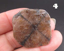 You Choose!  Chiastolite Polished Slice