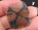 You Choose!  Chiastolite Polished Slice