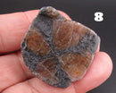 You Choose!  Chiastolite Polished Slice