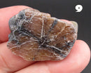 You Choose!  Chiastolite Polished Slice