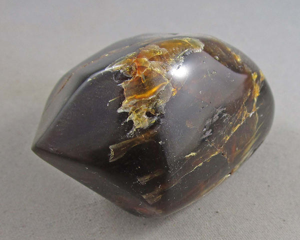 Polished Black Amber 1pc B025-3