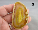 You Choose! Agate Stone Slice (Drilled)