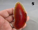 You Choose! Agate Stone Slice (Drilled)