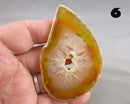 You Choose! Agate Stone Slice (Drilled)