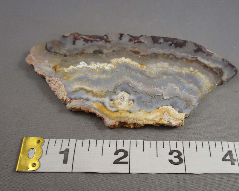 Mexican Lace Agate Stone Slice 1pc B014-1