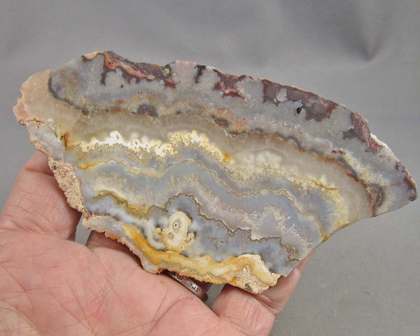 Mexican Lace Agate Stone Slice 1pc B014-1