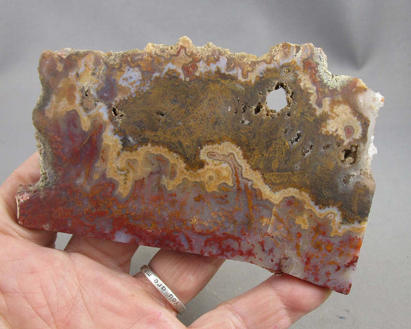 Plume Agate Stone Slice 1pc B014-5