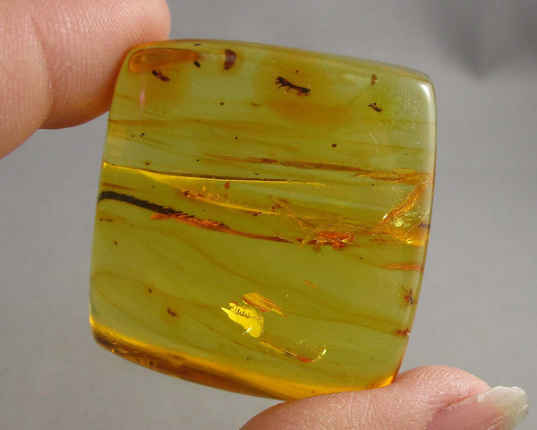 Polished Amber Madagascar 1pc B029-4