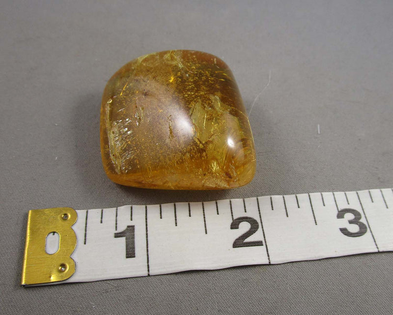 Polished Amber Madagascar 1pc B029-5