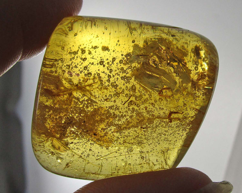 Polished Amber Madagascar 1pc B029-5