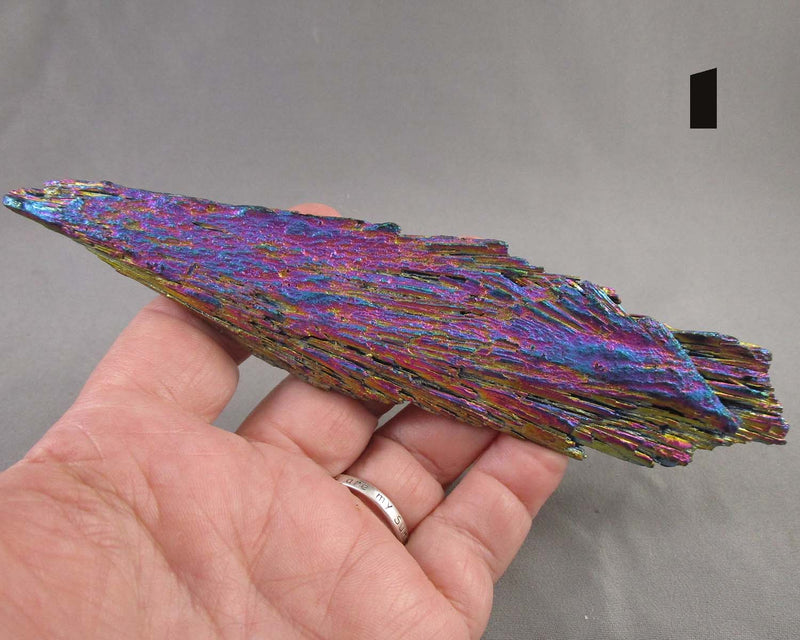 You Choose!  Rainbow Kyanite Crystal Blades