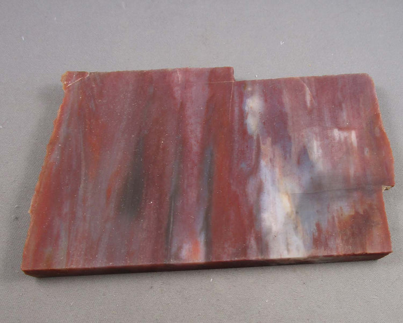 Rainbow Petrified Wood Slice (Arizona) 1pc B053-5