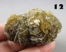 You Choose!  Manitoba Floodway Crystal Rose 1pc