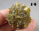 You Choose!  Manitoba Floodway Crystal Rose 1pc
