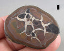 You Choose!  Septarian Dragonstone Geode!