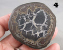 You Choose!  Septarian Dragonstone Geode!