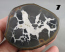 You Choose!  Septarian Dragonstone Geode!