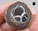 You Choose!  Septarian Dragonstone Geode!