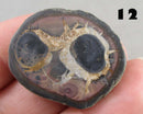 You Choose!  Septarian Dragonstone Geode!