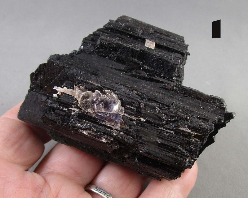 You Choose!  Premium Black Tourmaline Crystal