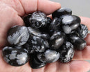 Snowflake Obsidian Polished Stones 5pcs J181**