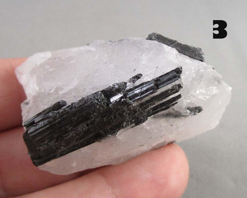 You Choose!  Black Tourmaline In Quartz Crystal