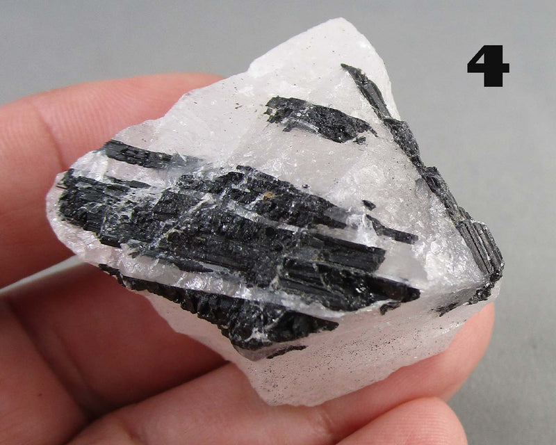 You Choose!  Black Tourmaline In Quartz Crystal