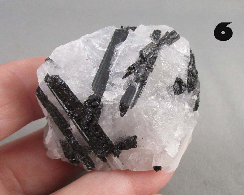 You Choose!  Black Tourmaline In Quartz Crystal