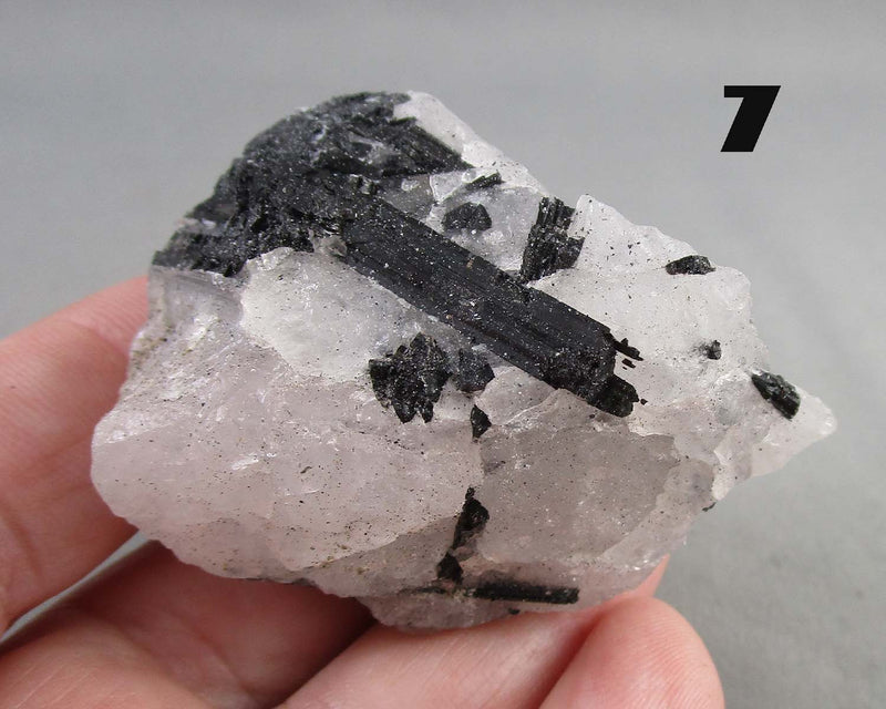 You Choose!  Black Tourmaline In Quartz Crystal