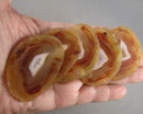 Natural Agate Slice 1pc J215
