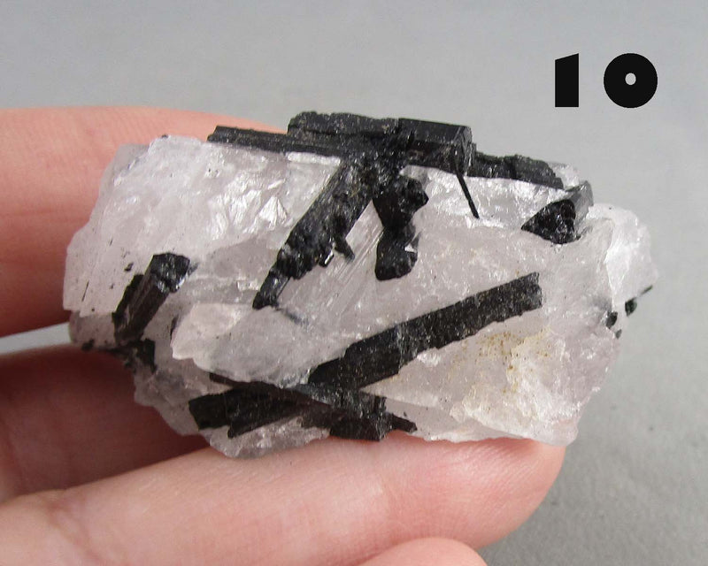 You Choose!  Black Tourmaline In Quartz Crystal